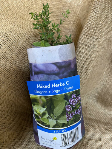 Herb Mix C - Oregano, Sage, Thyme